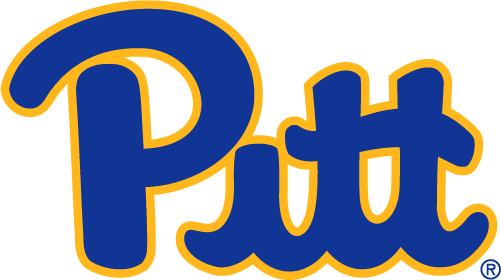 Pittsburgh Panthers 2019-Pres Primary Logo iron on transfers for T-shirts
